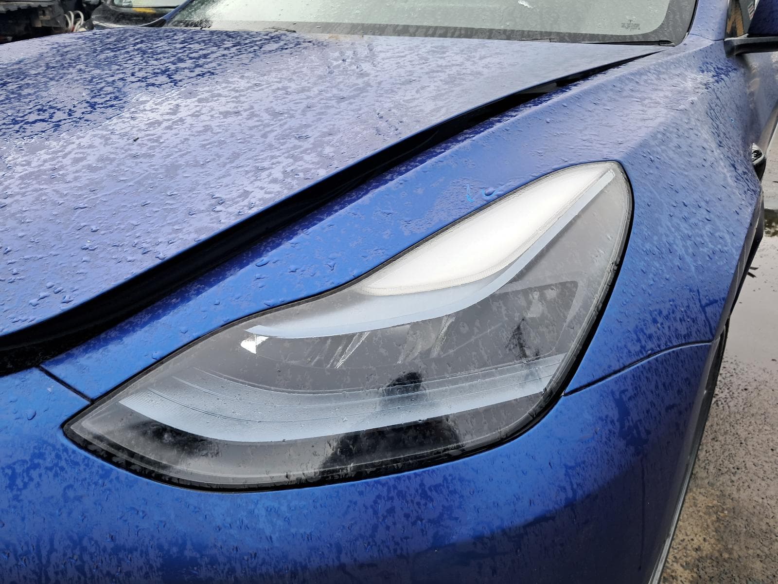 2023 TESLA MODEL 3 5
