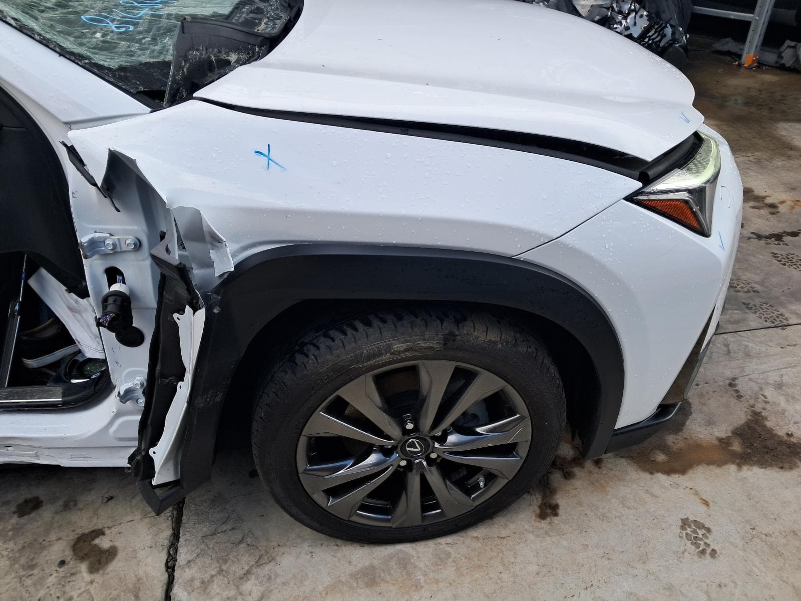 2019 LEXUS UX 12