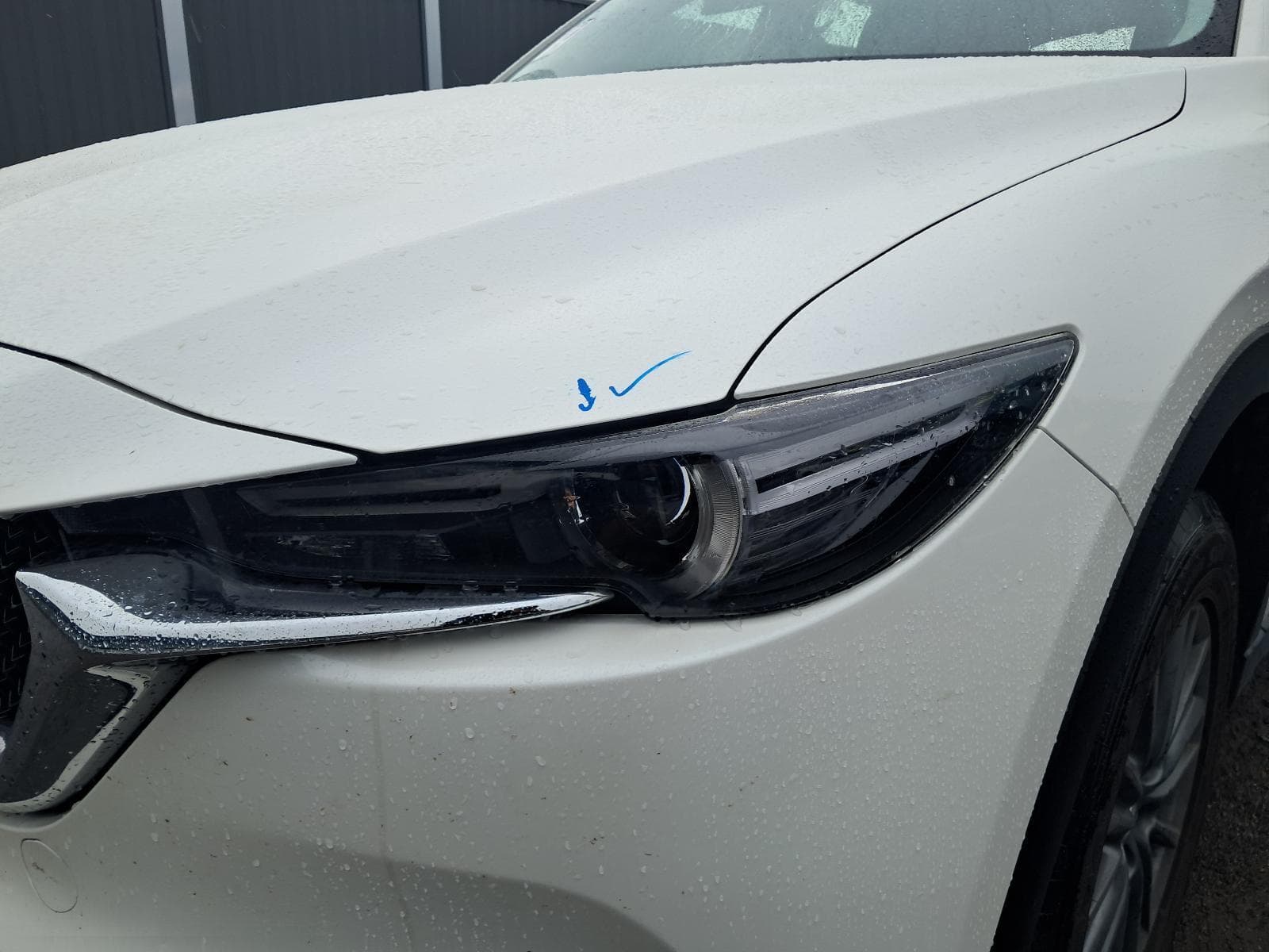 2019 MAZDA CX5 7