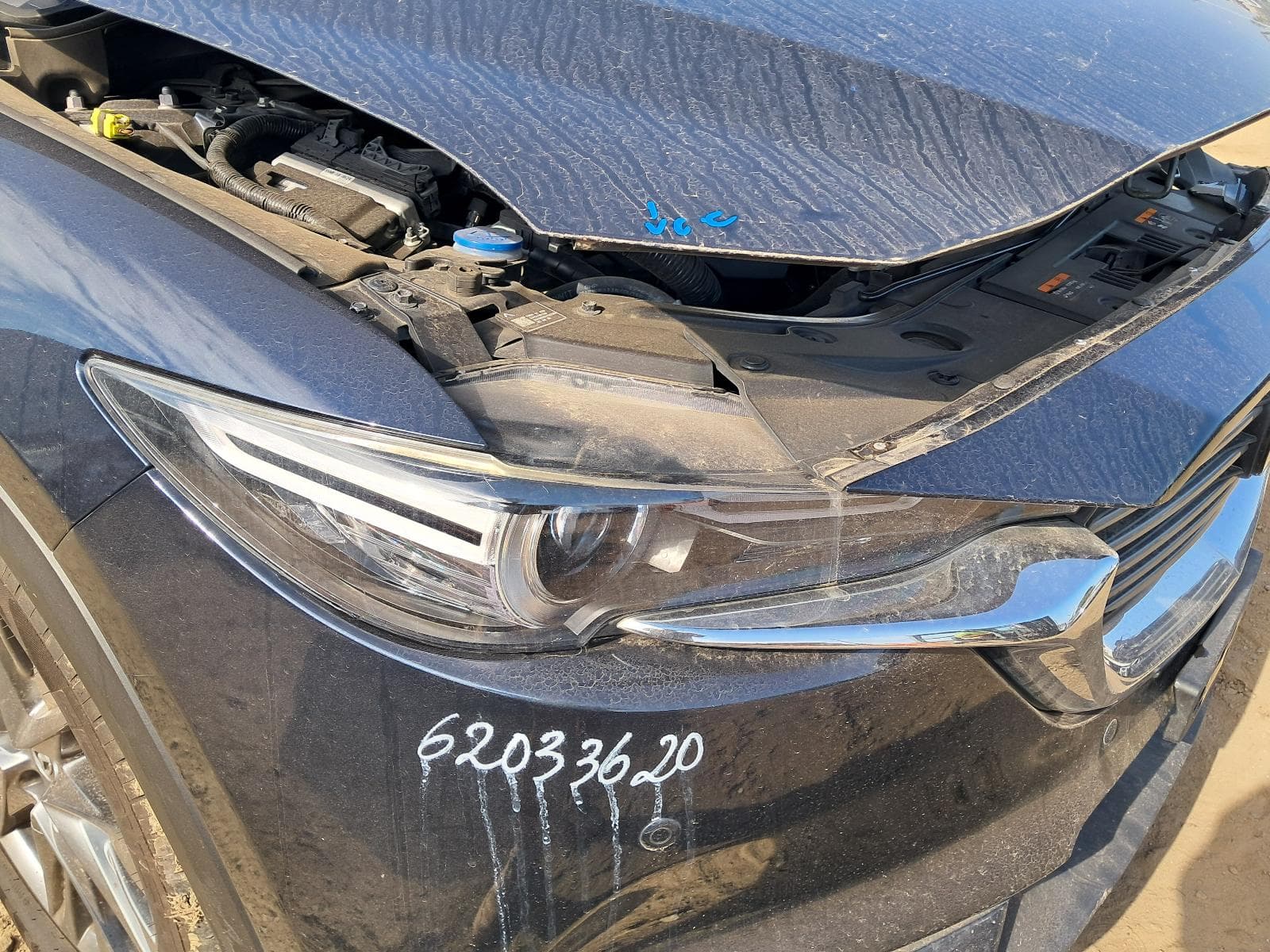 2019 MAZDA CX8 6