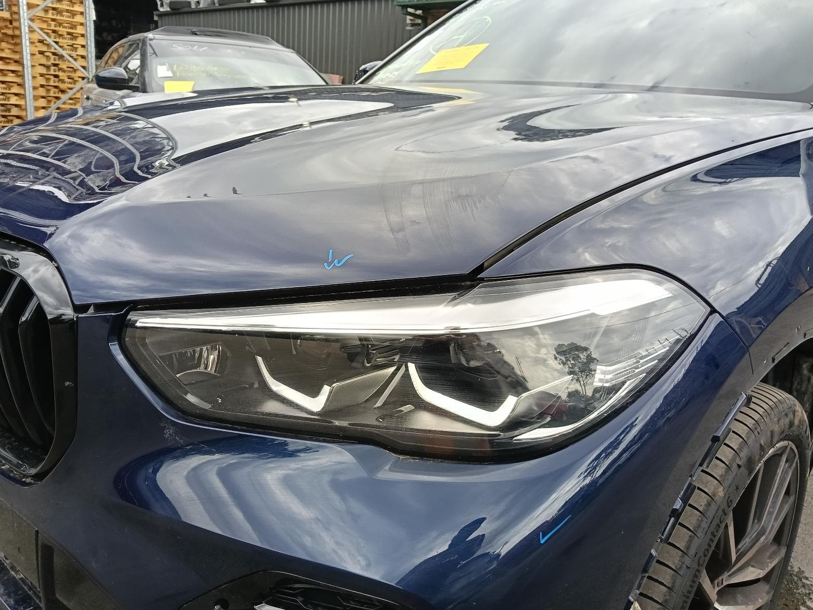 2022 BMW X5 7