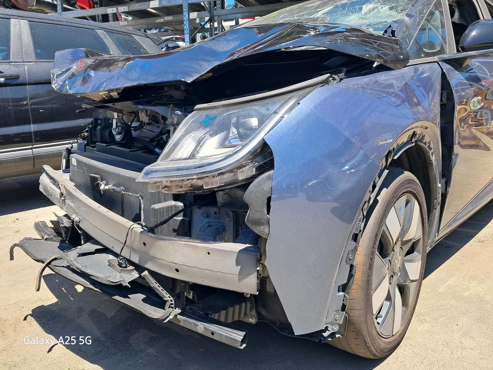 2024 BYD DOLPHIN 8