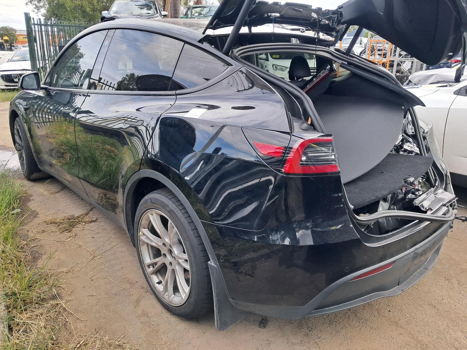 2023 TESLA MODEL Y 4