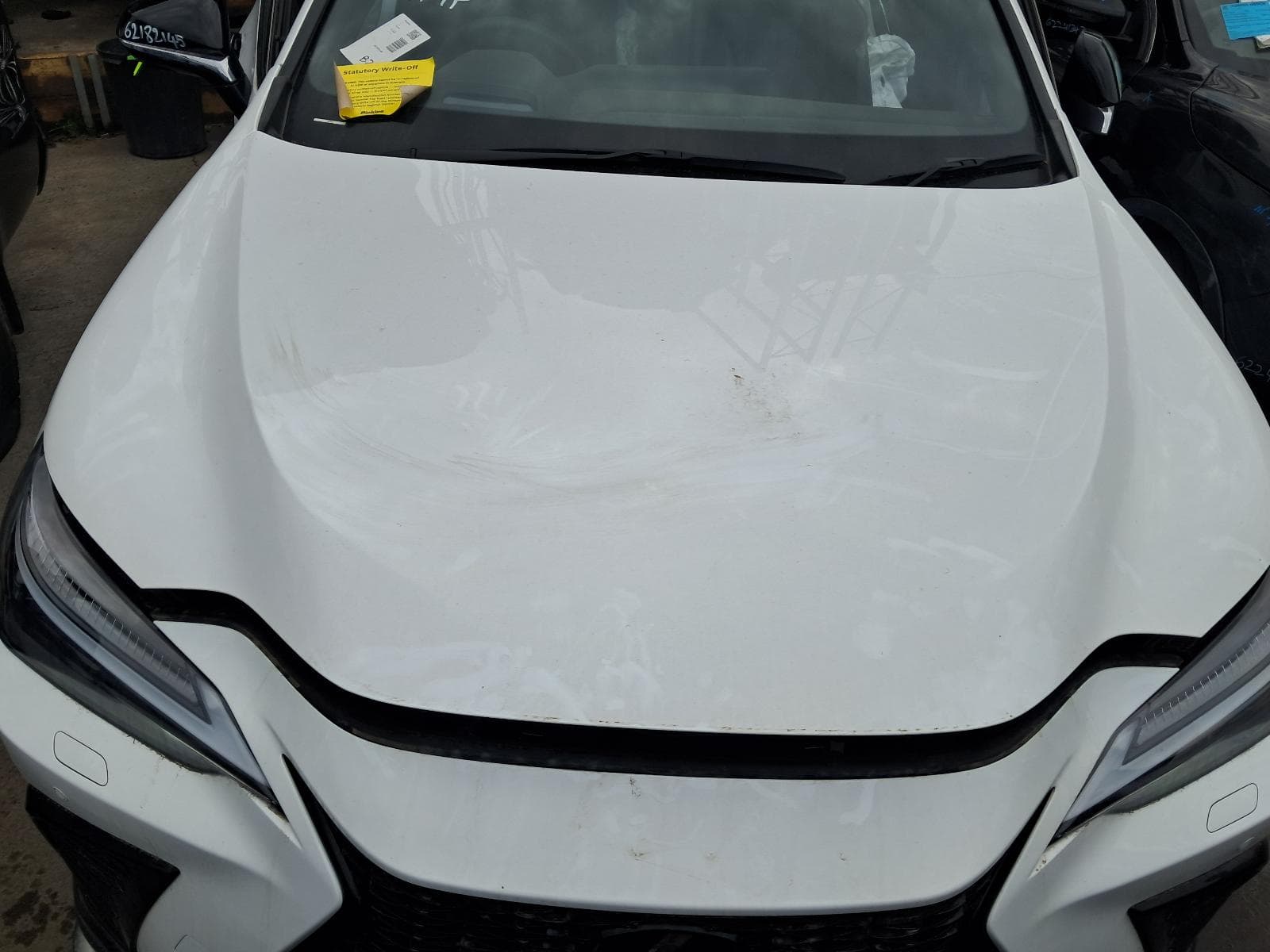 2024 LEXUS NX 11
