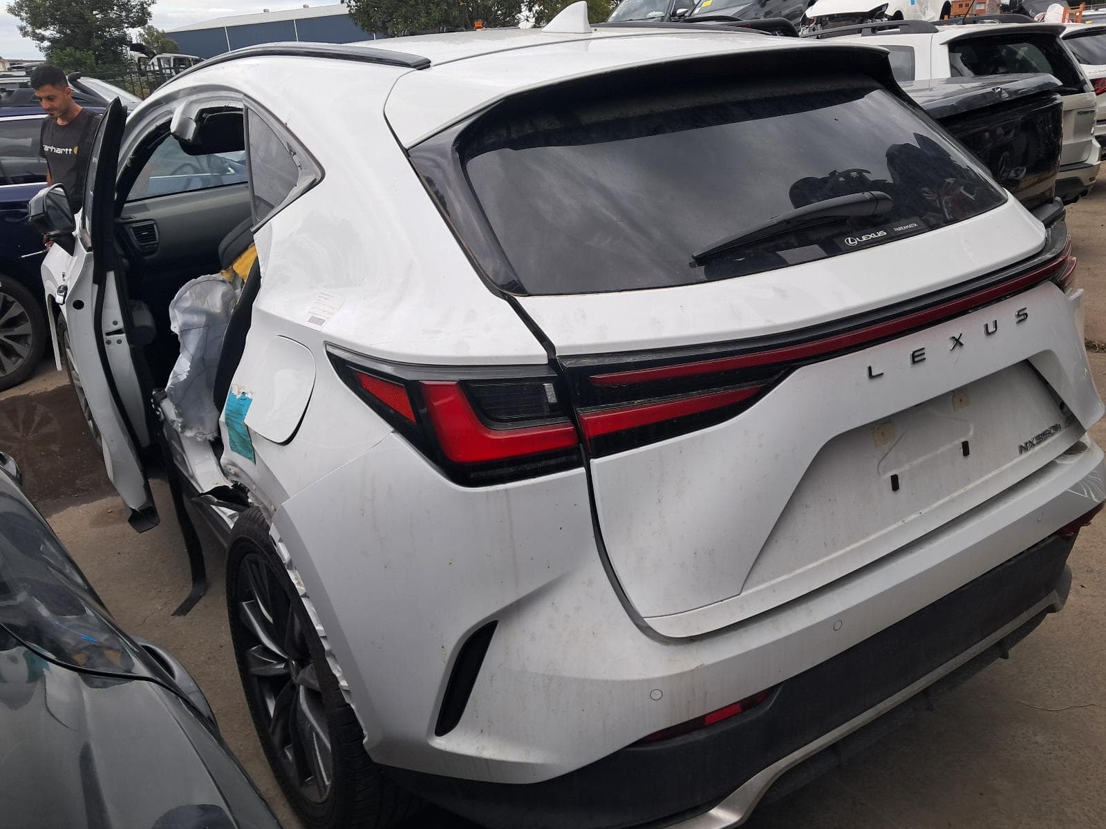 2024 LEXUS NX 4