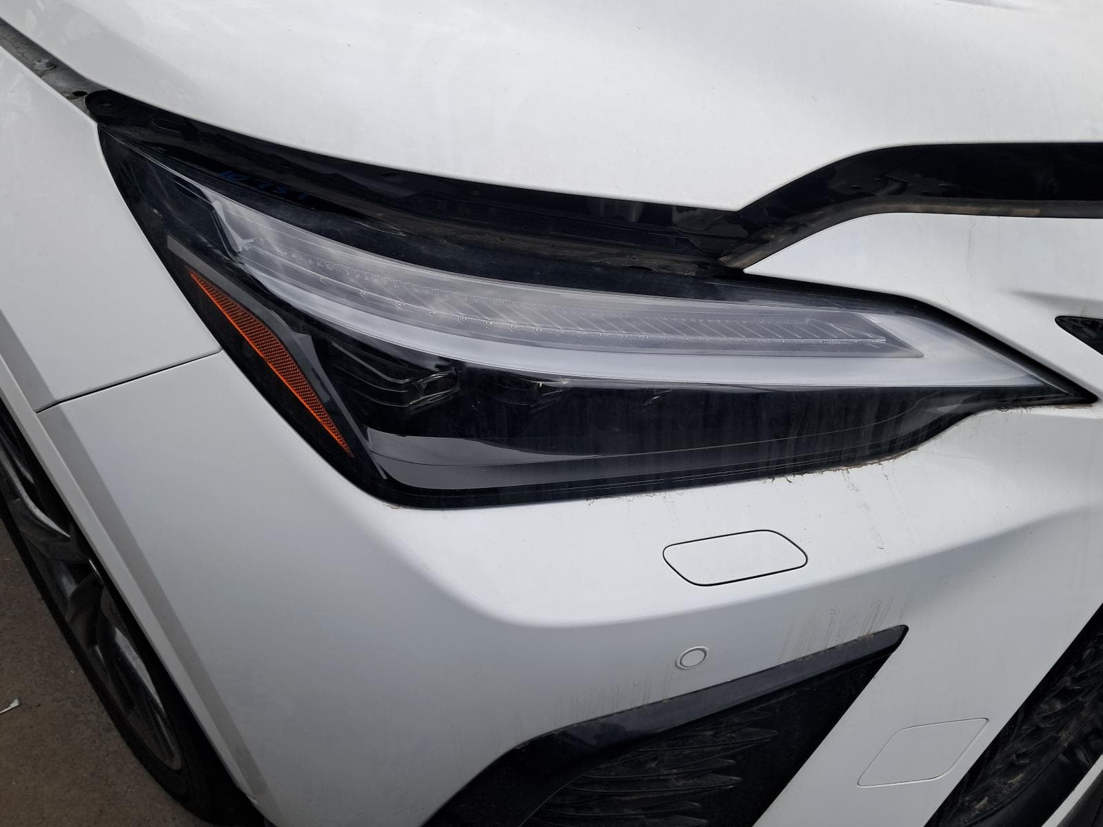 2024 LEXUS NX 6