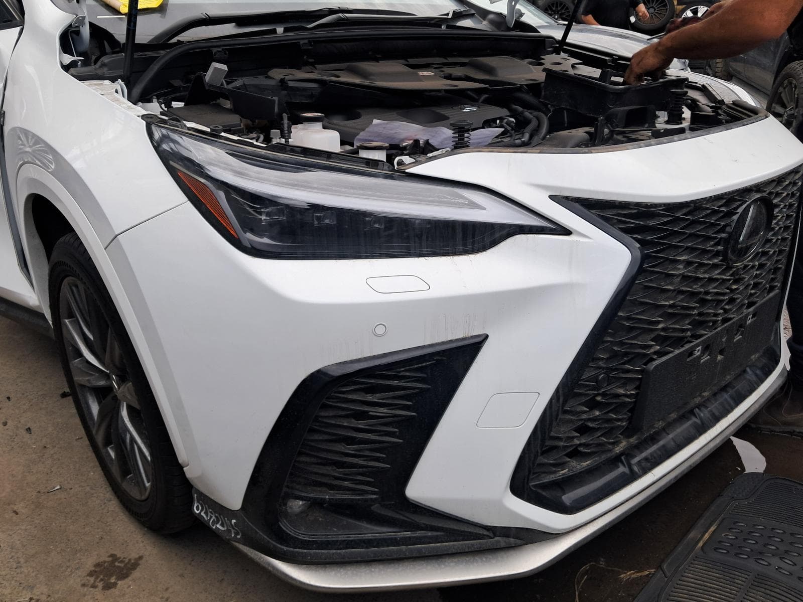 2024 LEXUS NX 8