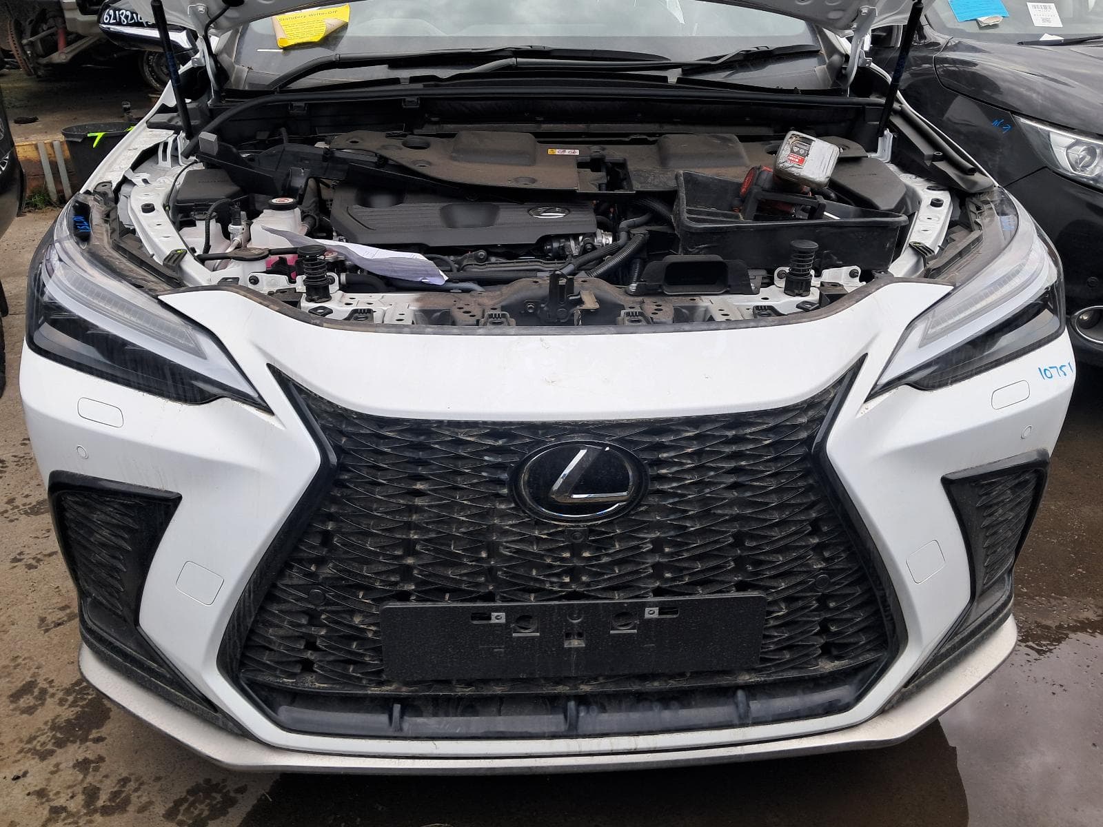 2024 LEXUS NX 10
