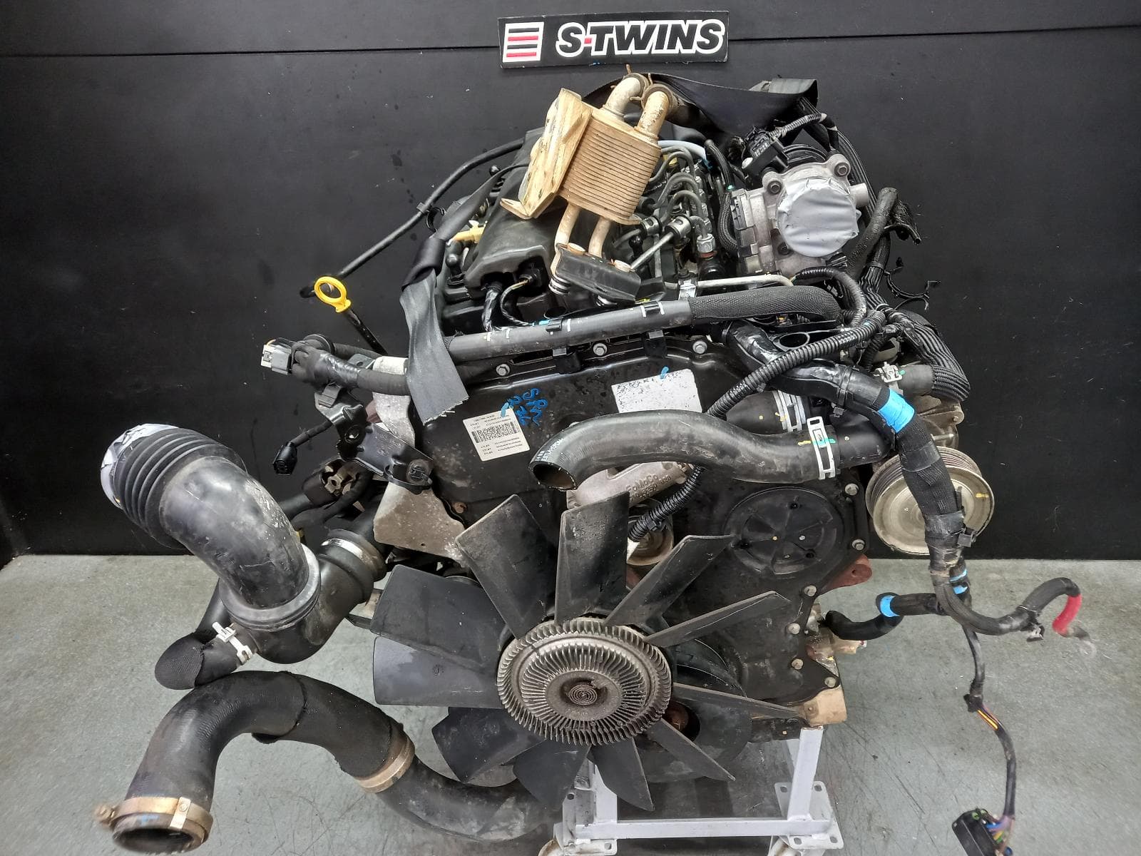 Used auto part listing image: 2016 FORD RANGER ENGINE DIESEL, 3.2, TURBO, P5AT, PX SERIES 2-3, 06/15-04/22 0000388650