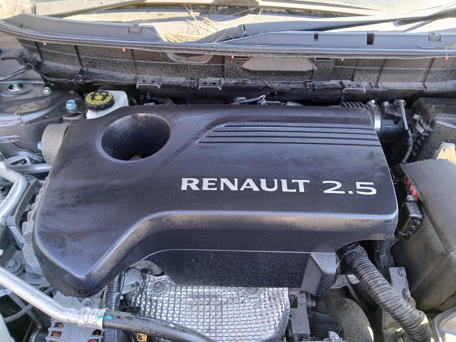 2017 RENAULT KALEOS 2