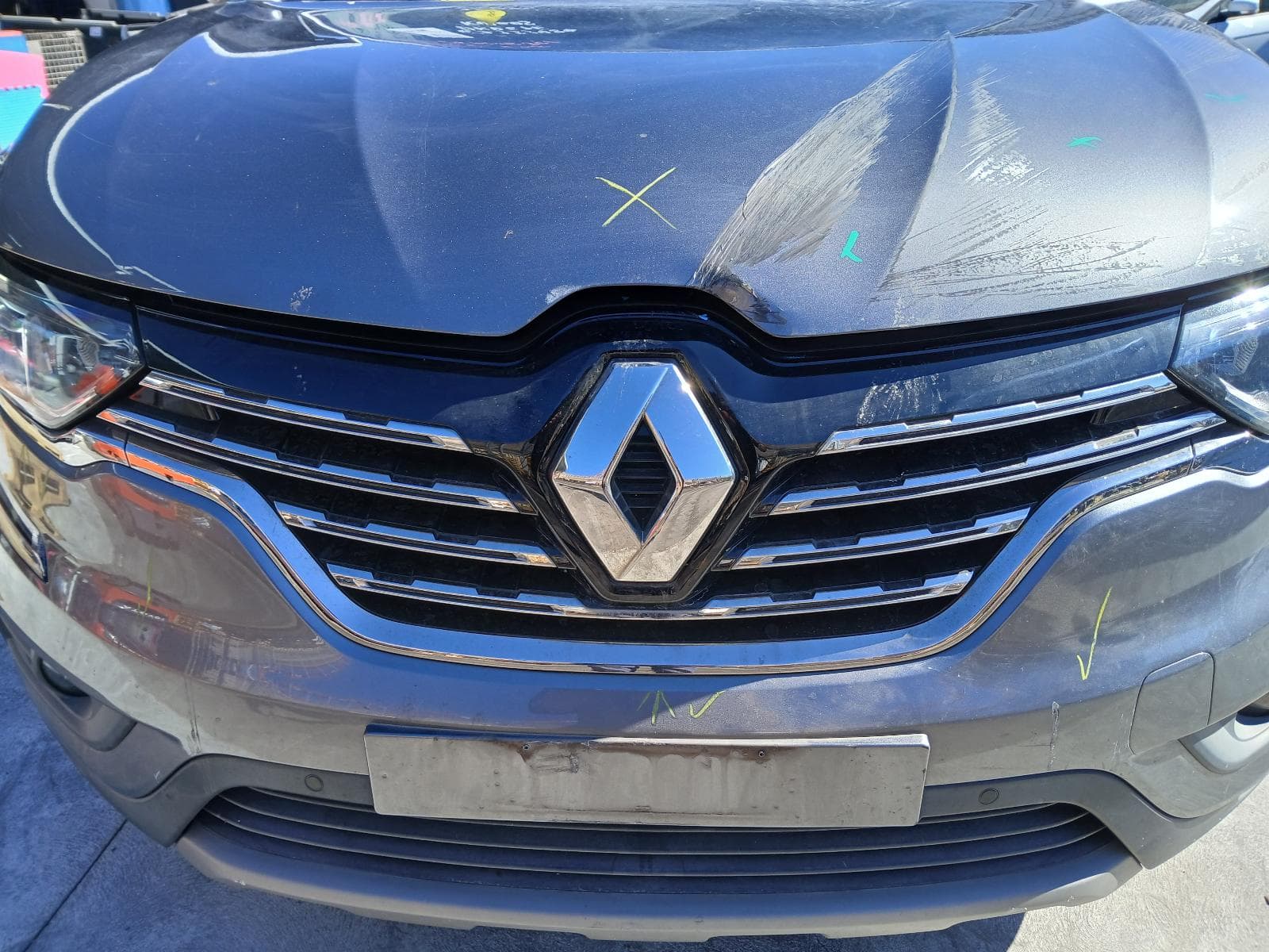 2017 RENAULT KALEOS 12