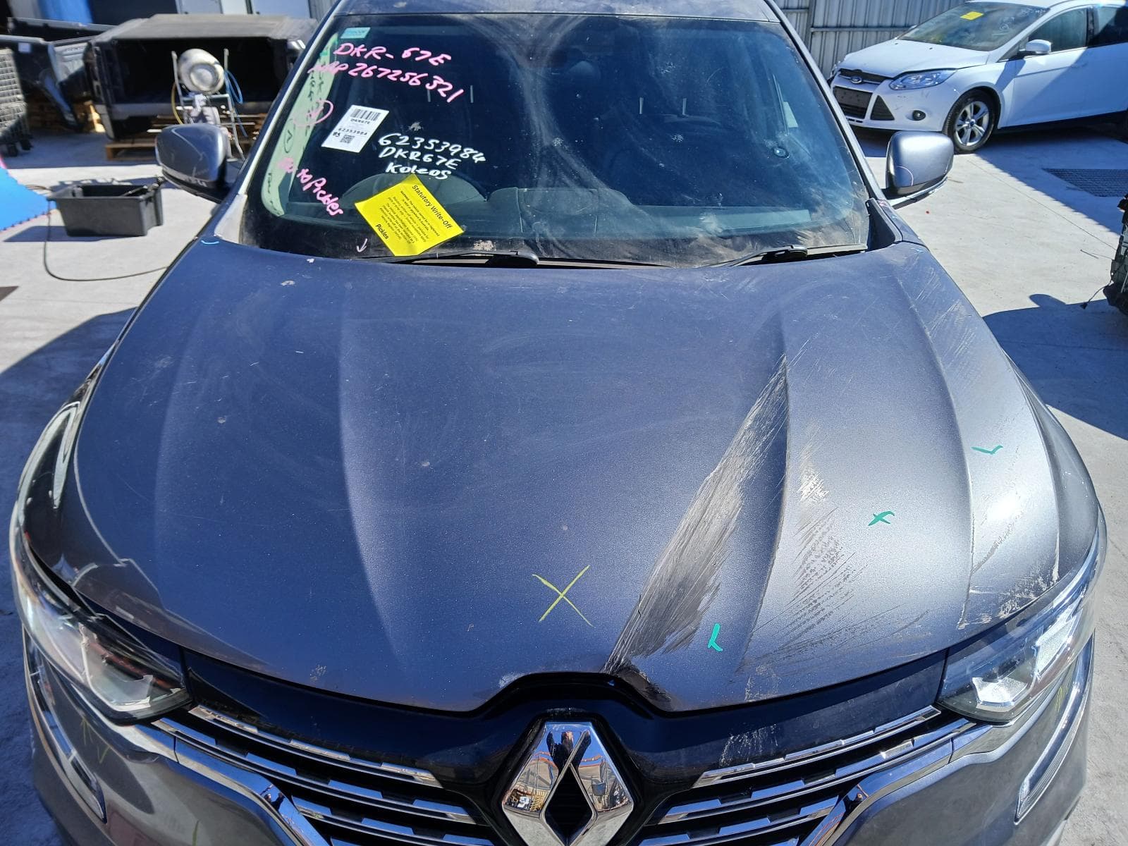 2017 RENAULT KALEOS 13