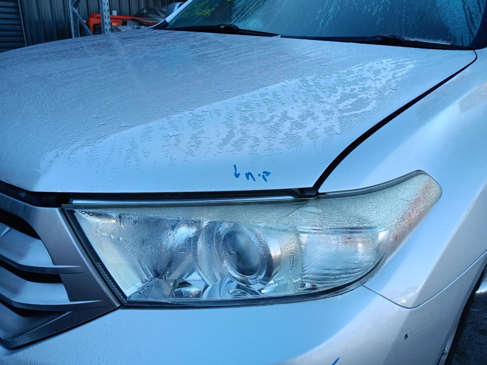 2010 TOYOTA KLUGER 5