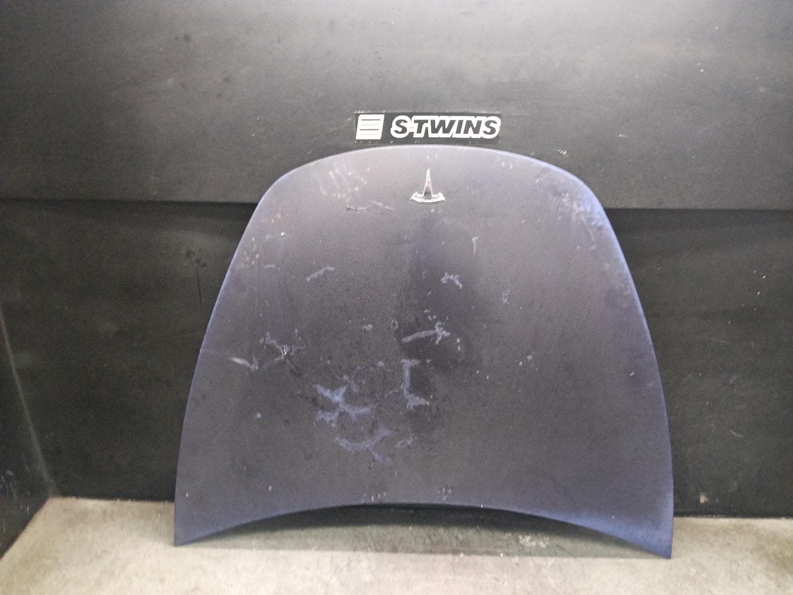 Used auto part listing image: 2023 TESLA MODEL 3 BONNET 1ST GEN, 06/19-08/23 0000419461