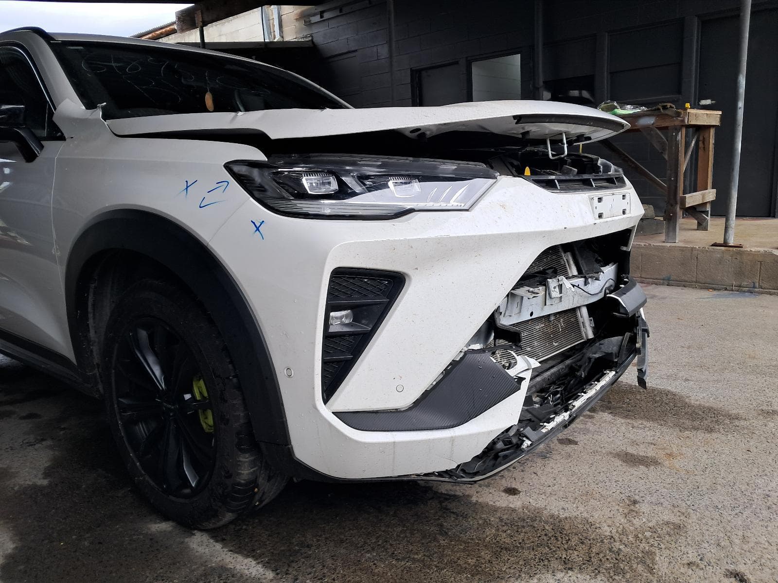 2024 HAVAL H6 8