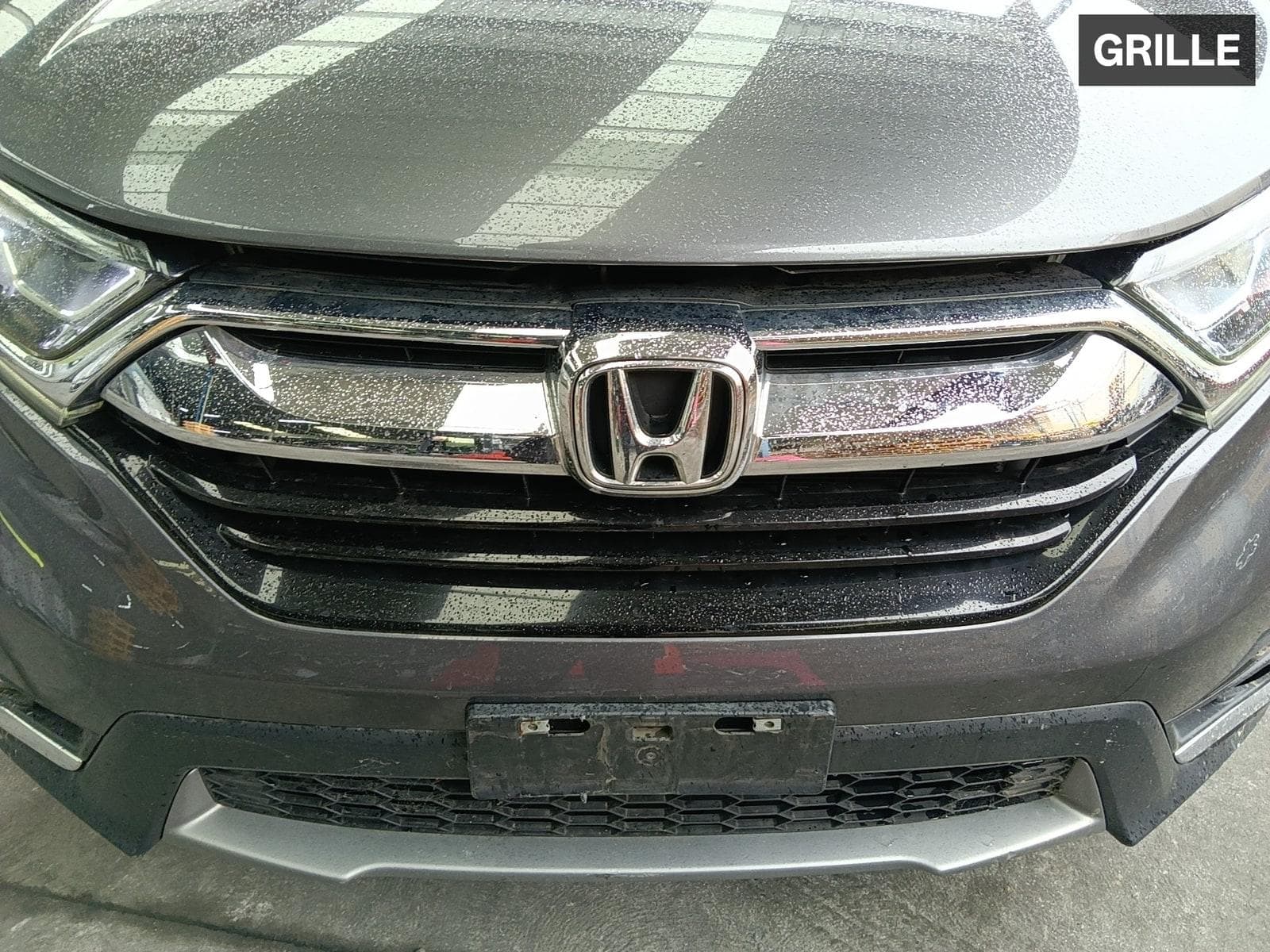 2019 HONDA CRV 14