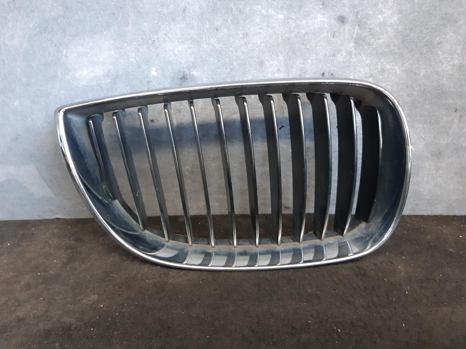 2007 Bmw 5 Series Grille 0000105572