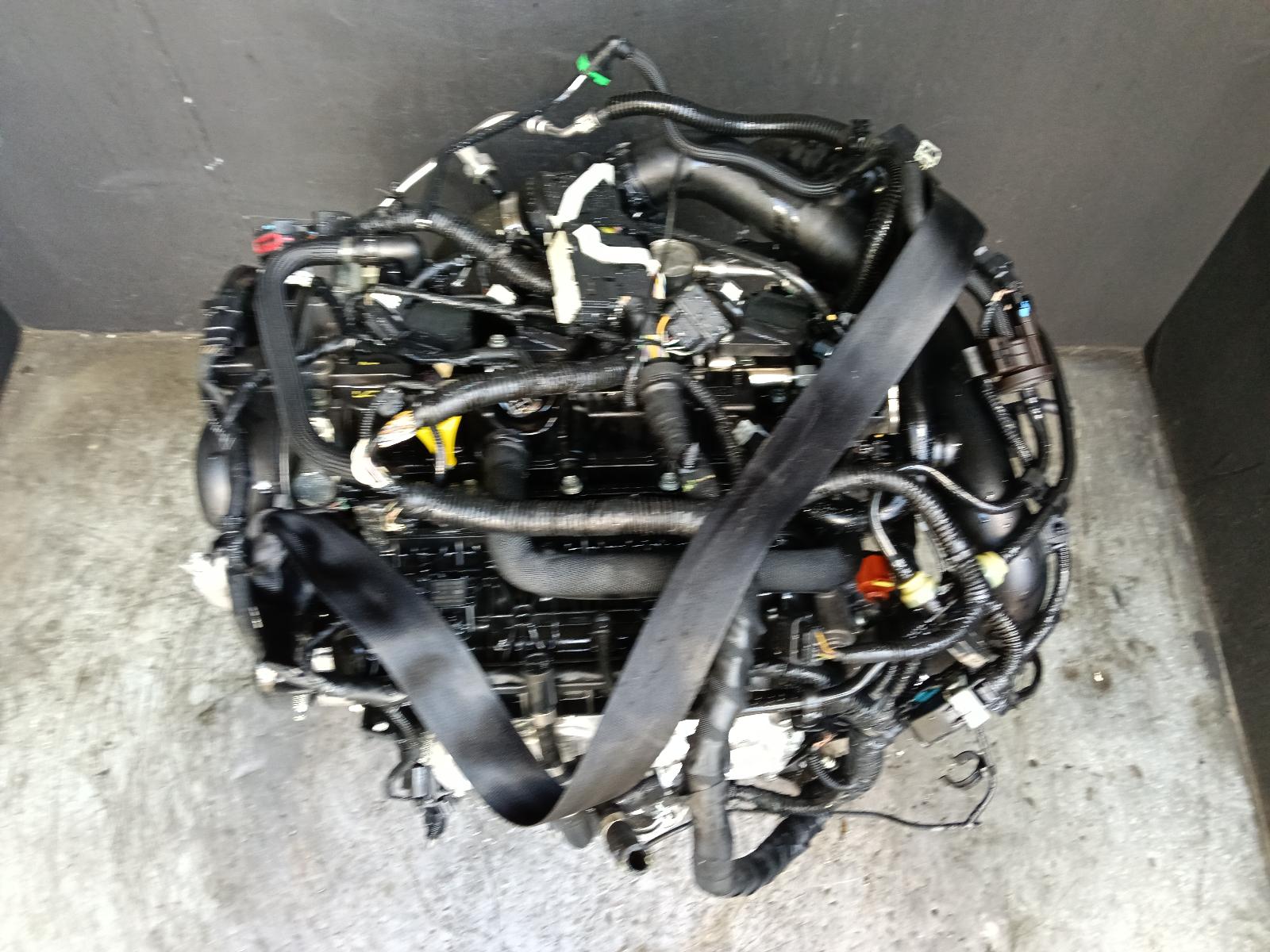 Gallery image 4