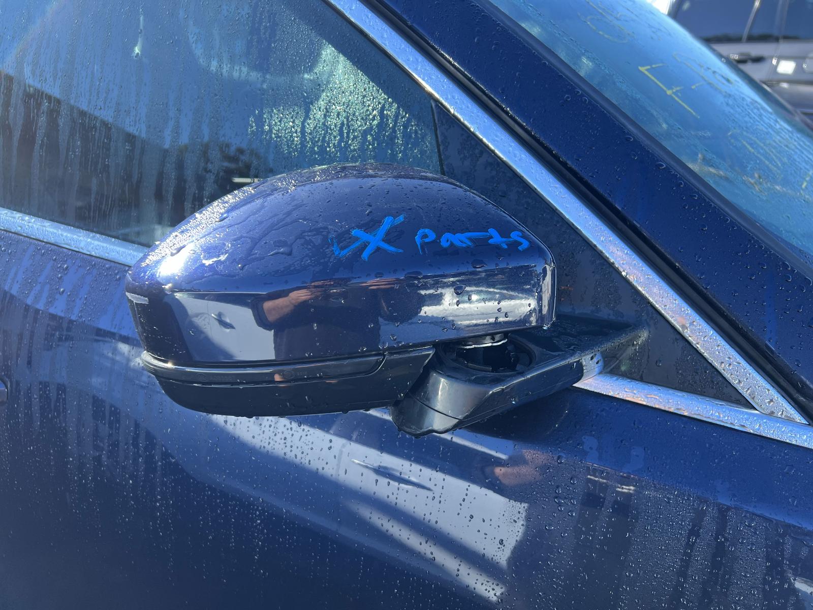 Gallery image 12
