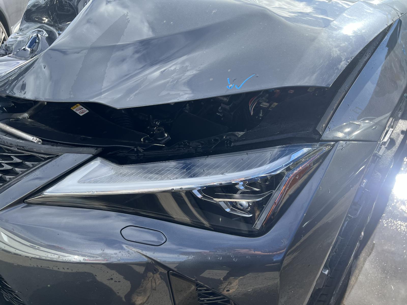 Gallery image 6