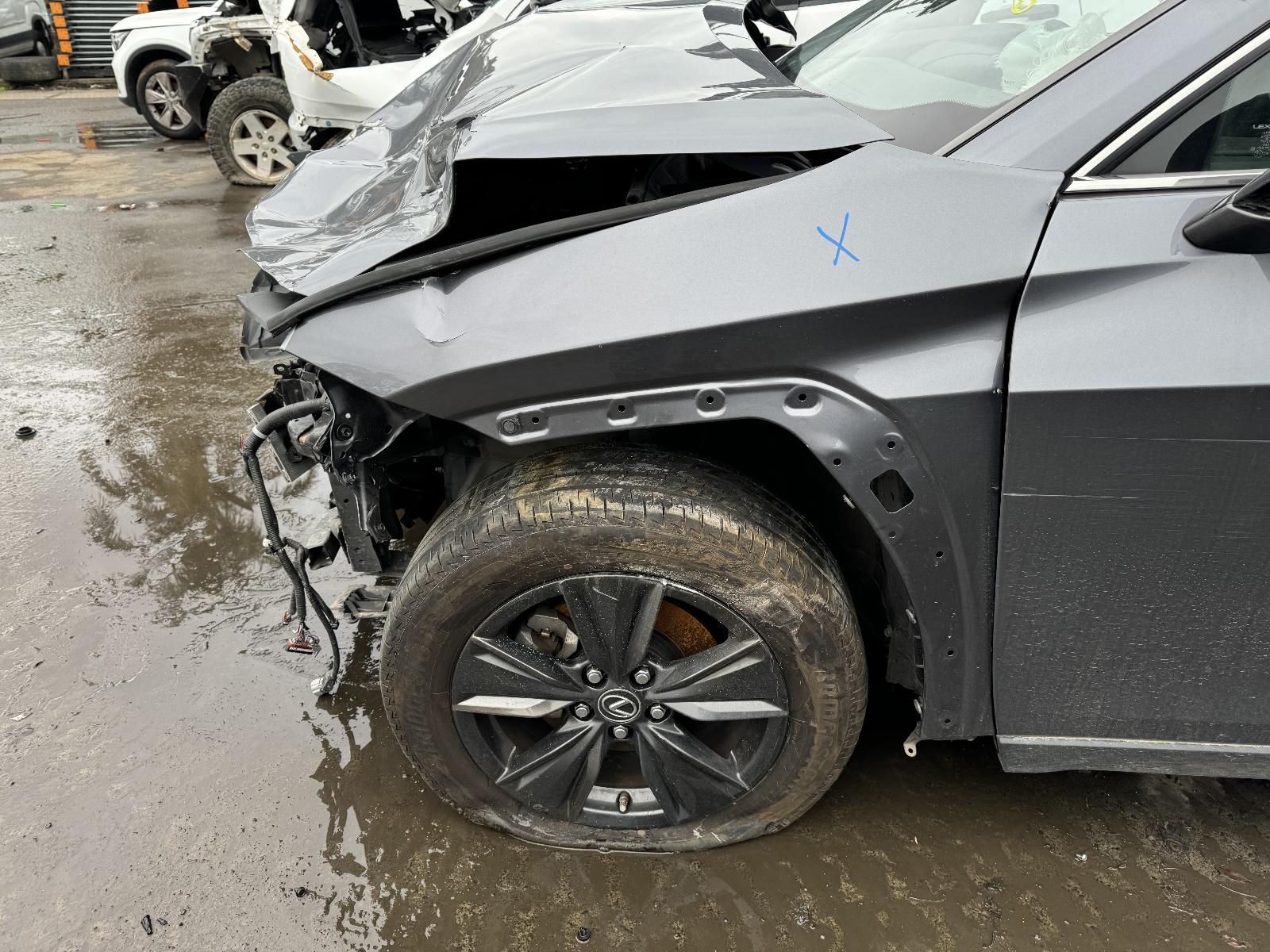 Gallery image 7