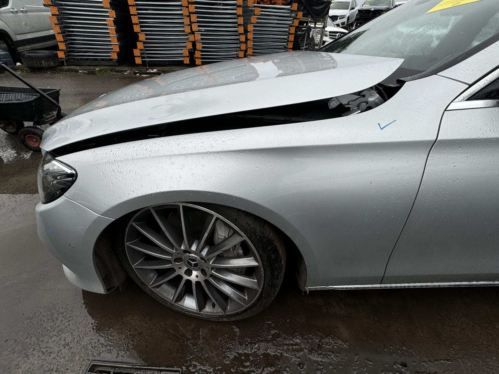 Gallery image 12