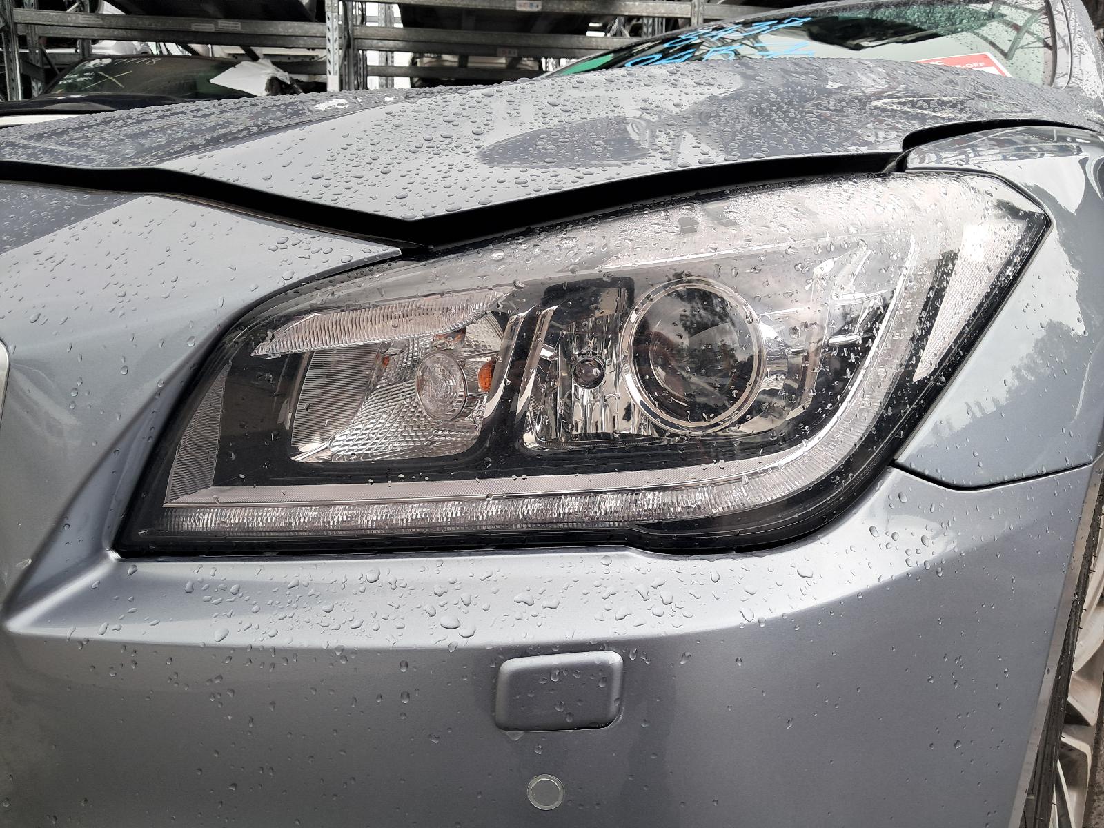 Gallery image 8