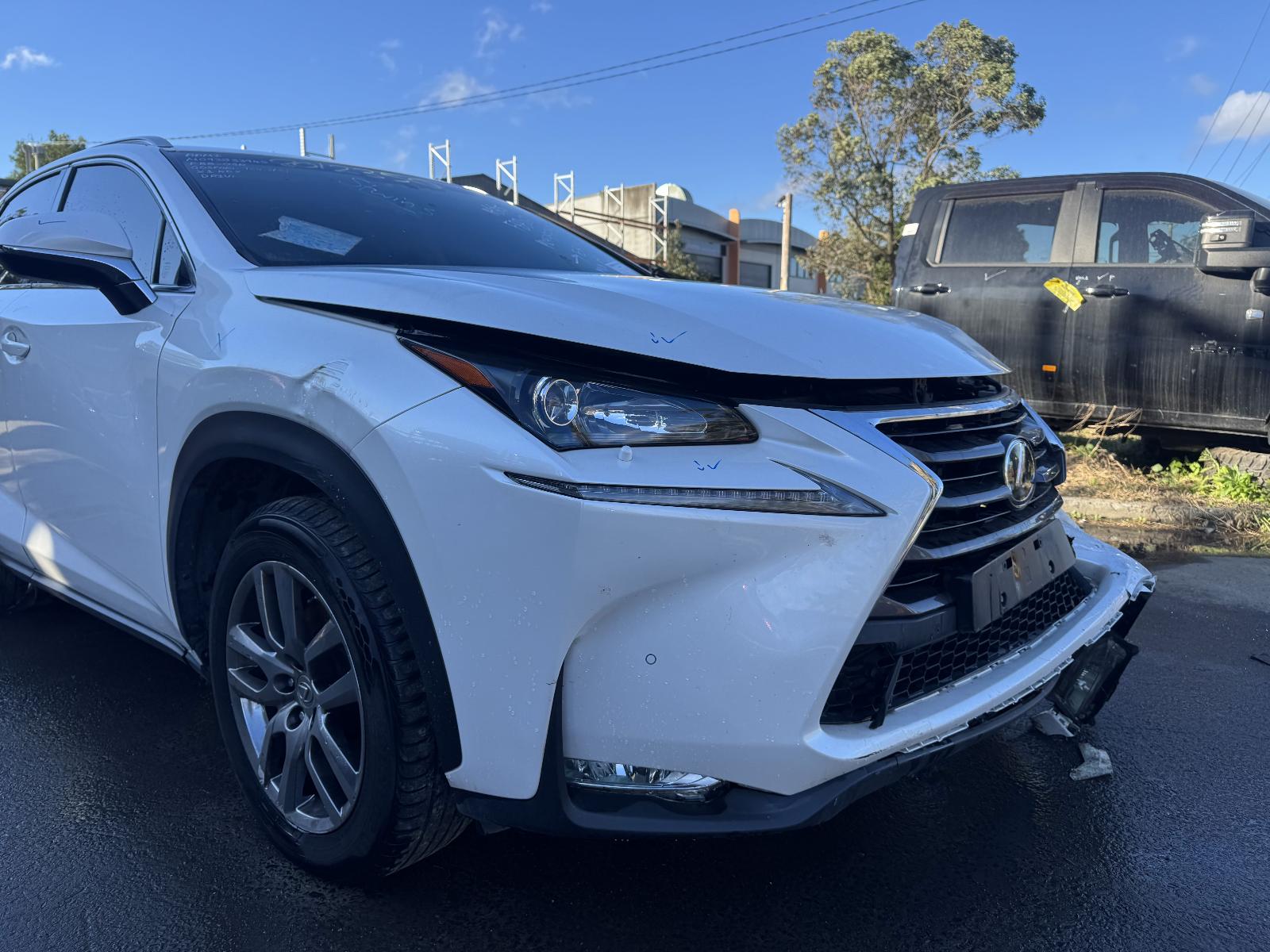 Gallery image 5