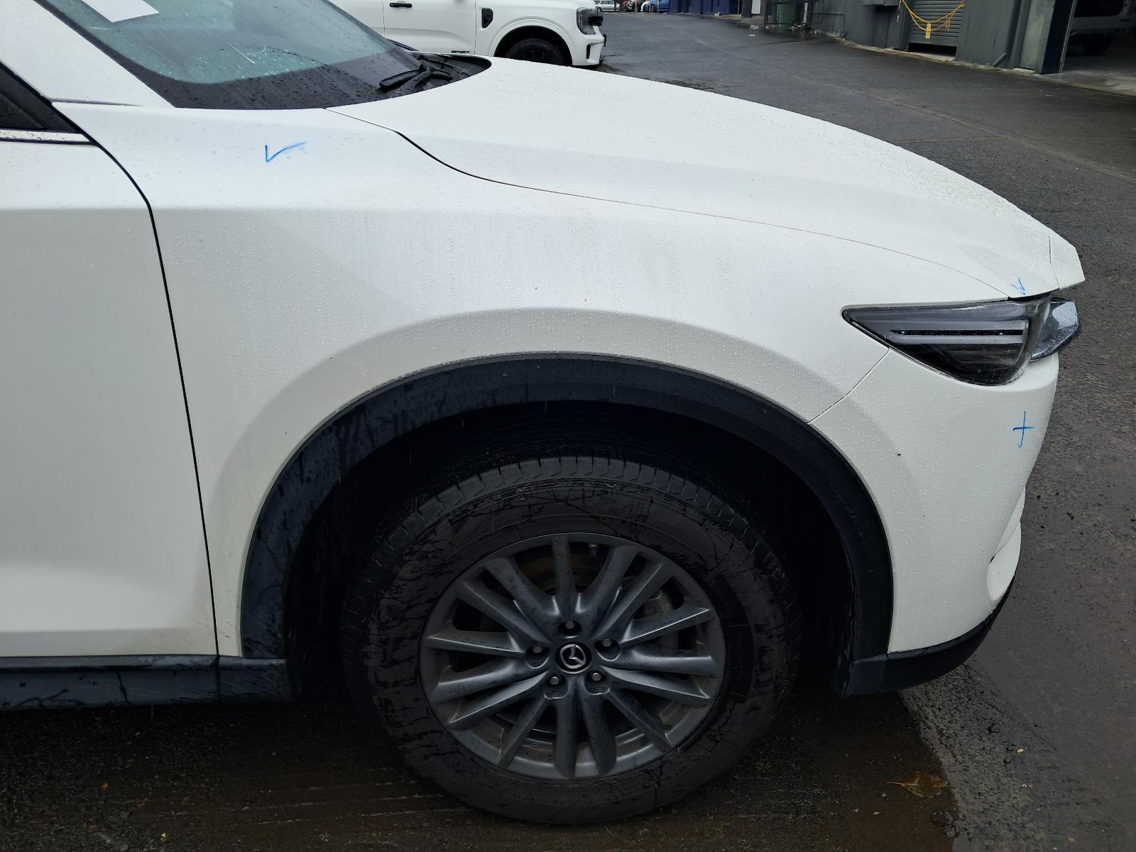 Gallery image 11