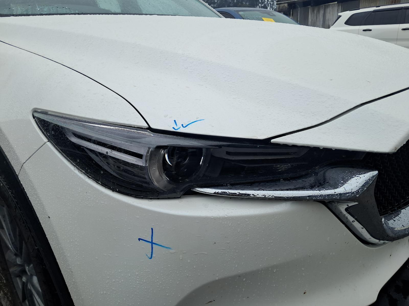 Gallery image 5