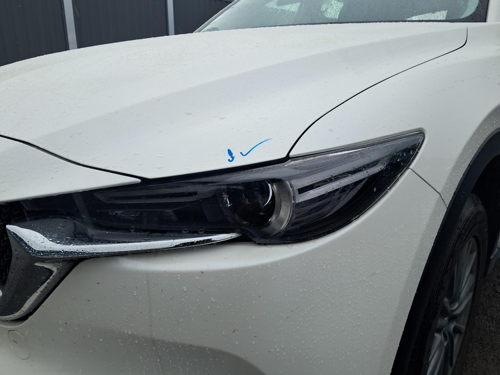 Gallery image 6