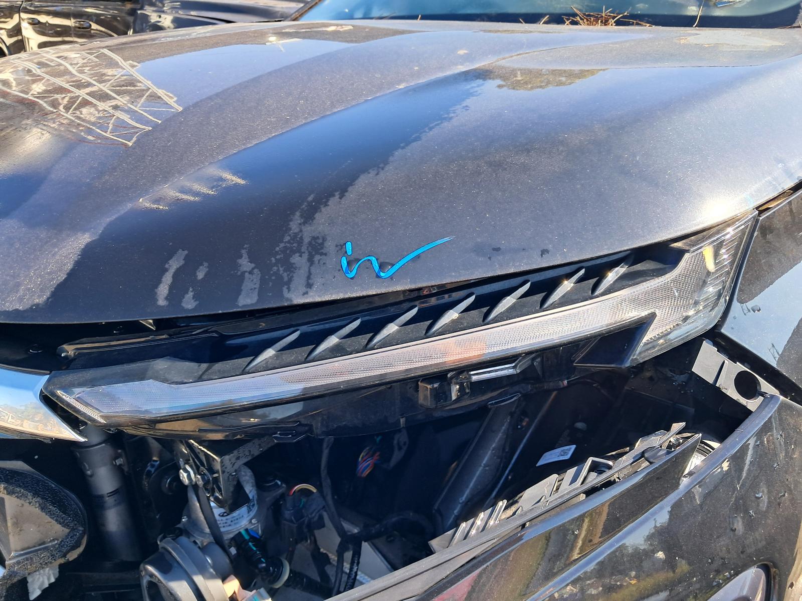 Gallery image 6