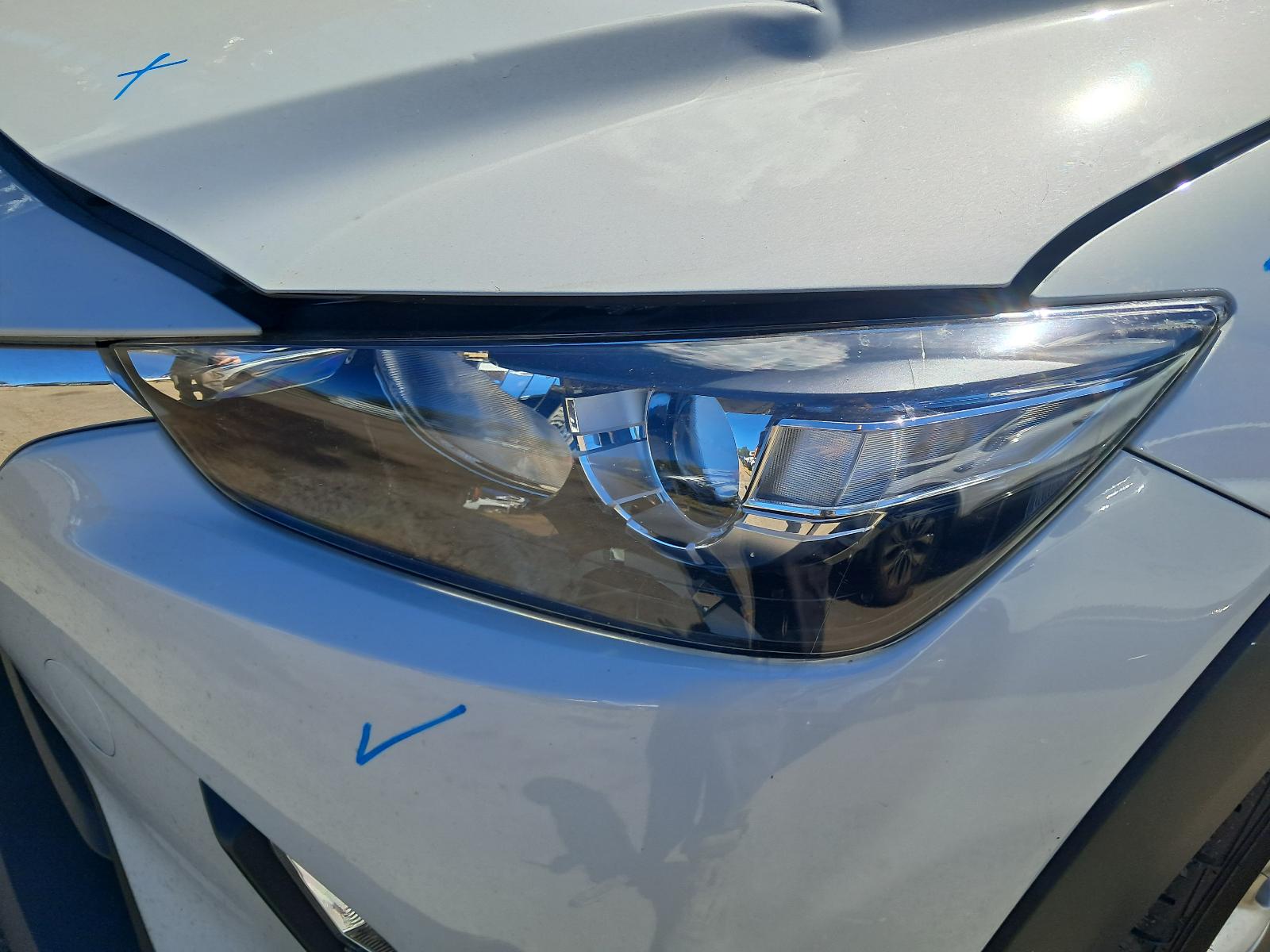 Gallery image 6