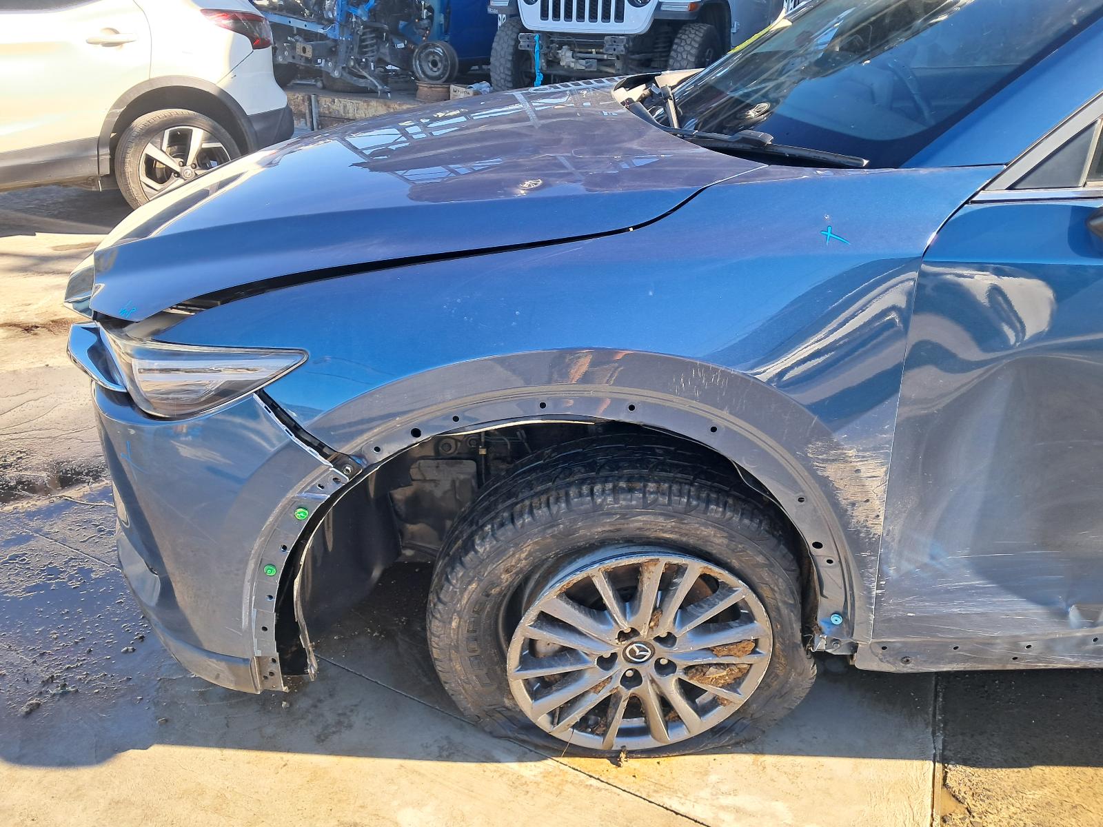Gallery image 11