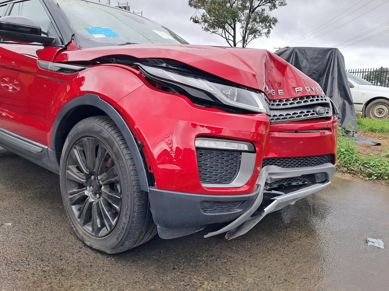Gallery image 6