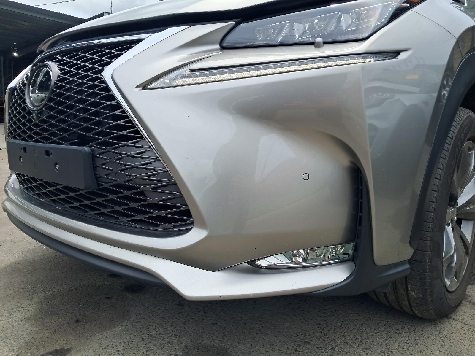 Gallery image 11