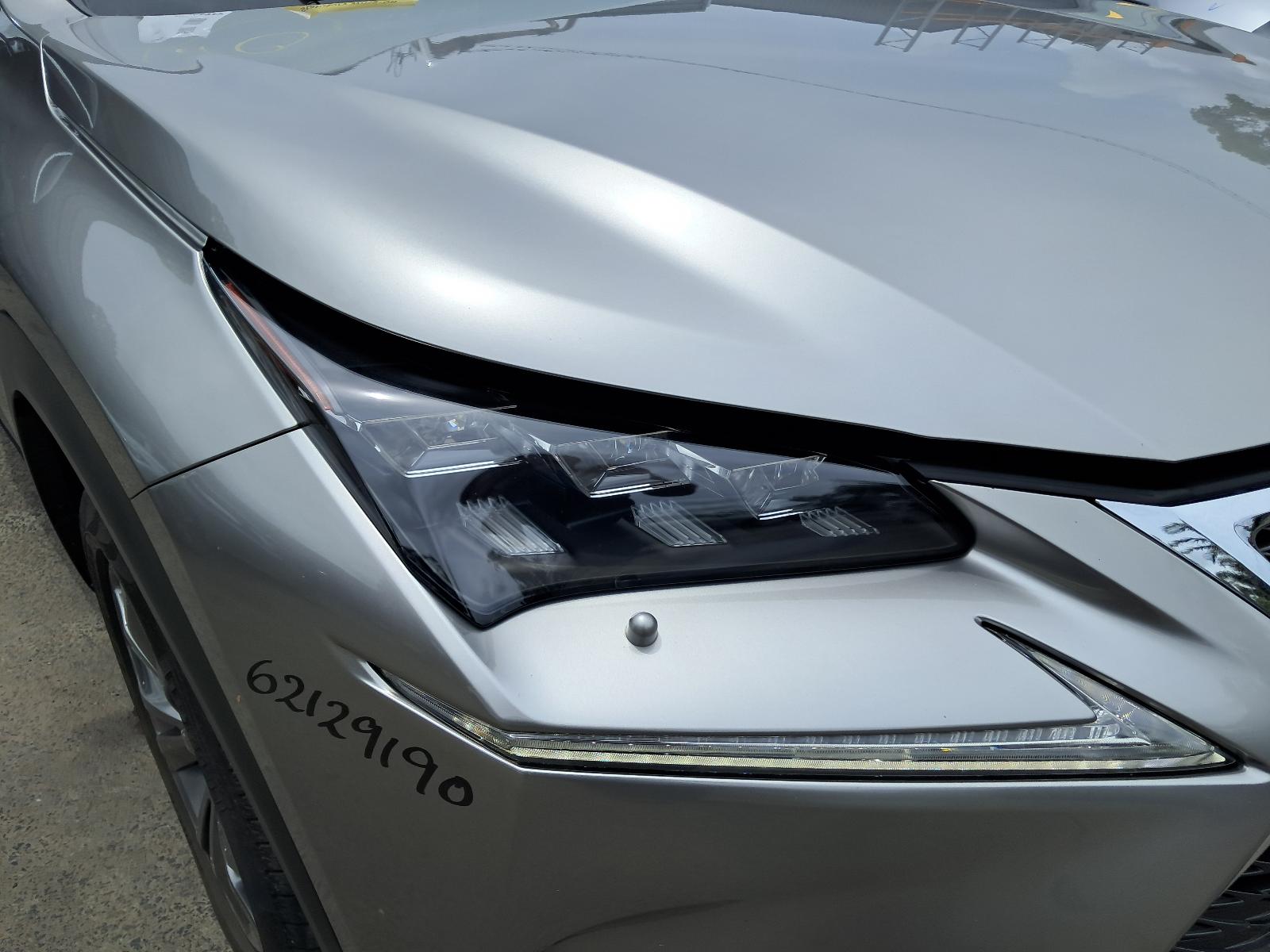 Gallery image 6