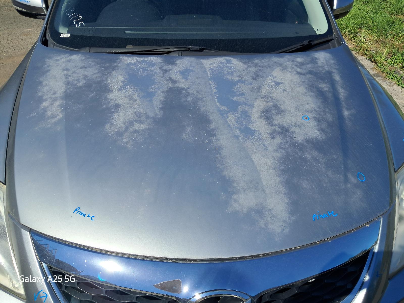 Gallery image 8