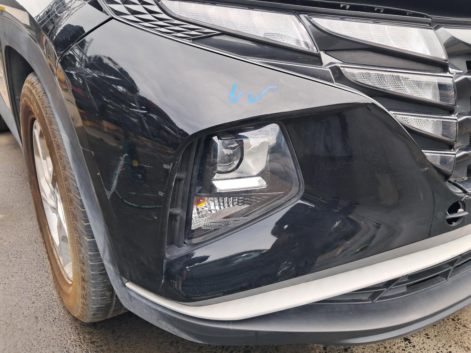 Gallery image 6