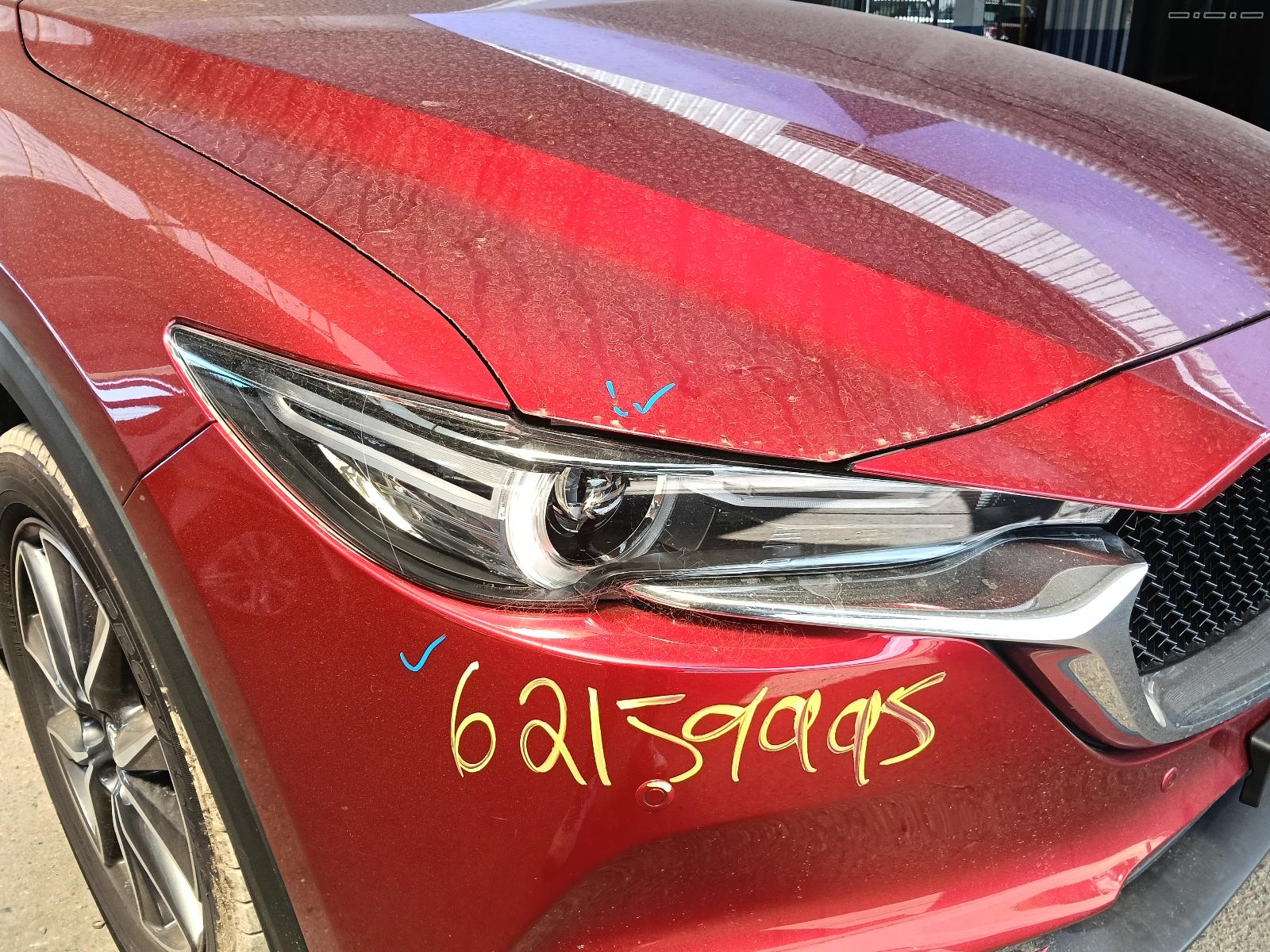 Gallery image 5