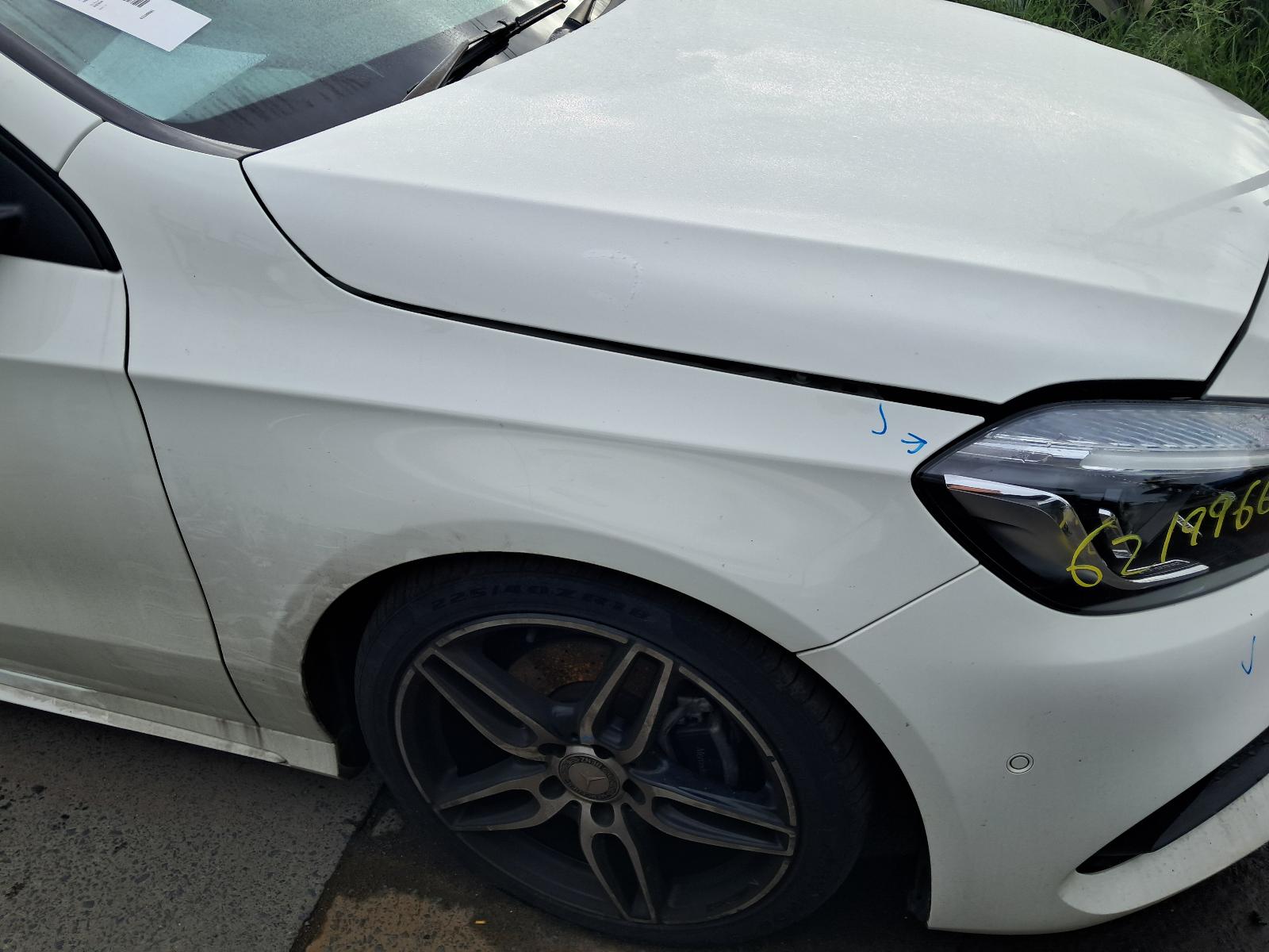 Gallery image 10