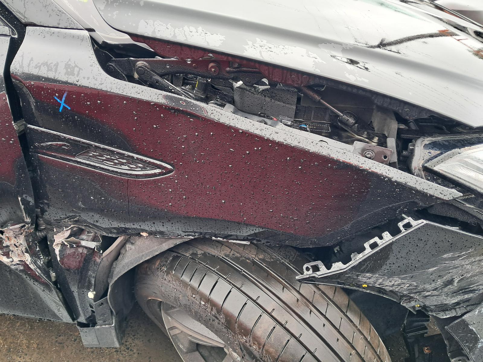 Gallery image 12