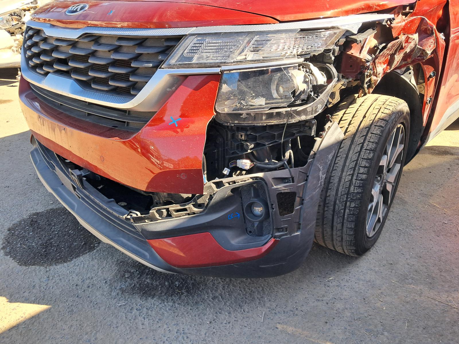 Gallery image 7