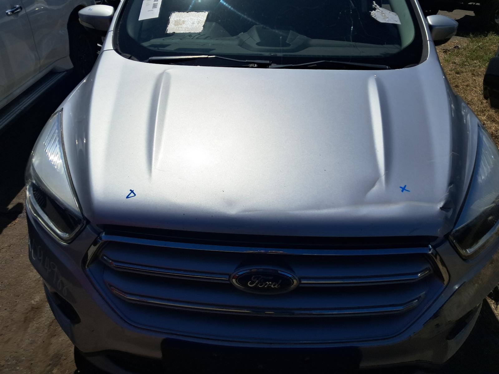 Gallery image 9