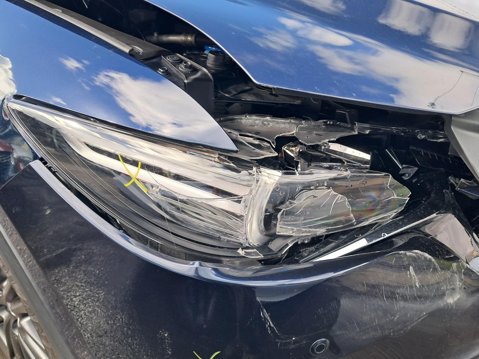Gallery image 5