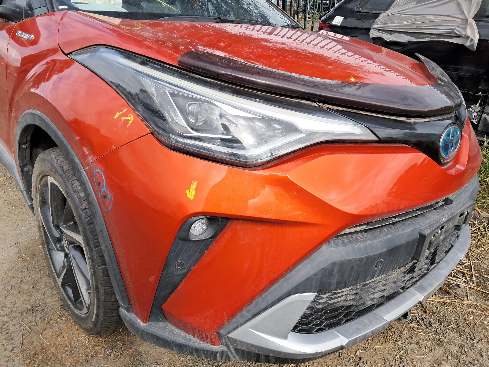 Gallery image 7