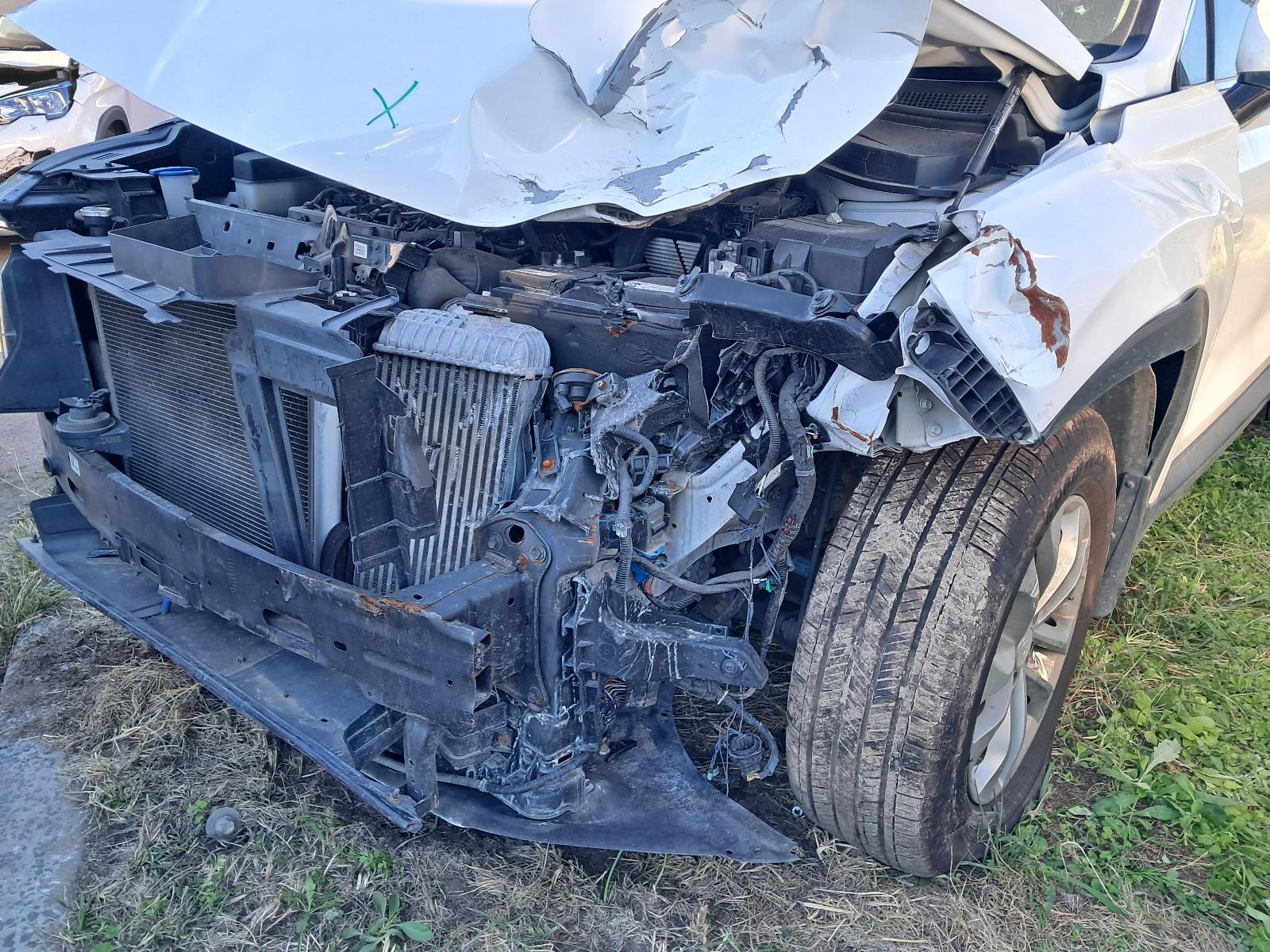 Gallery image 6
