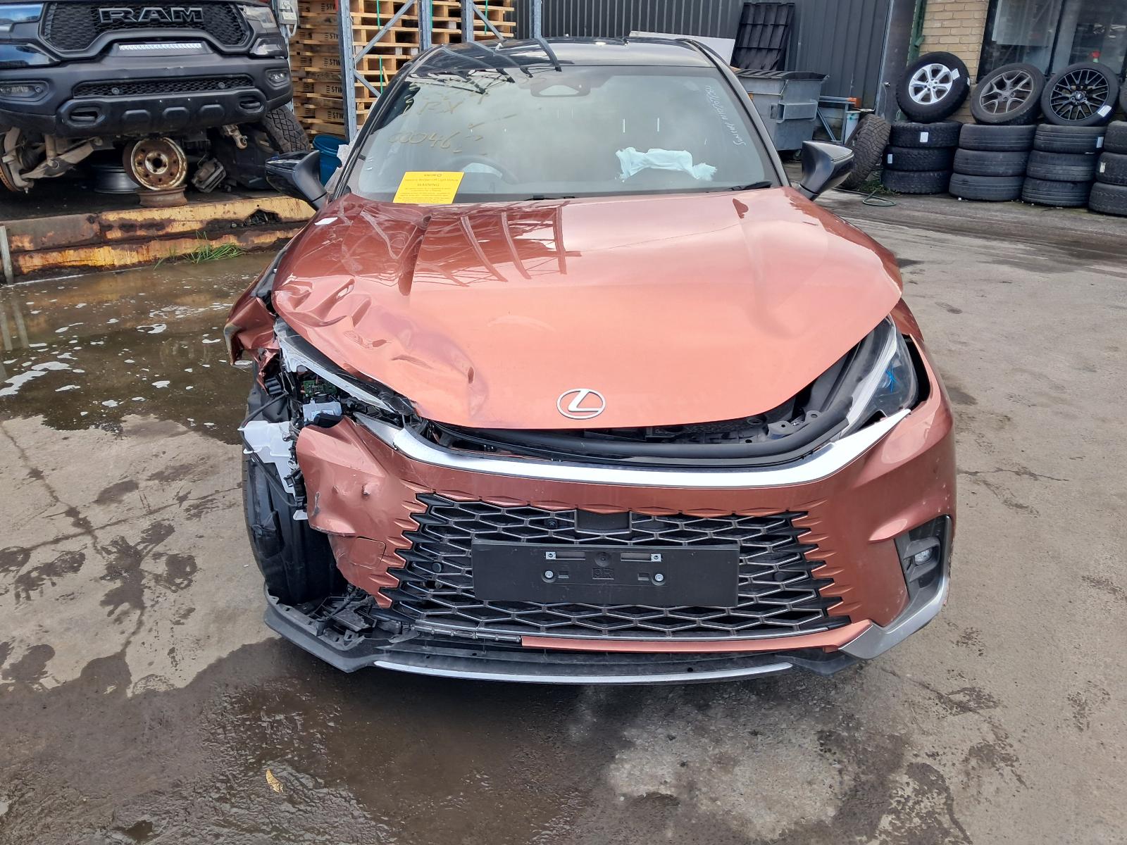 Gallery image 7
