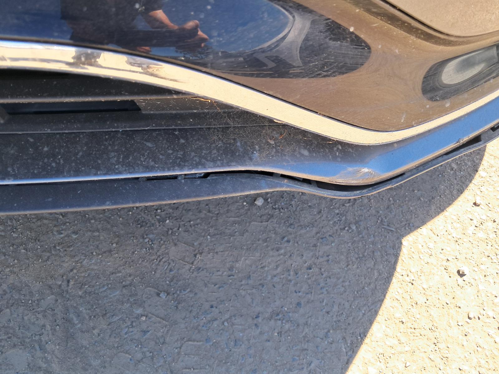 Gallery image 12