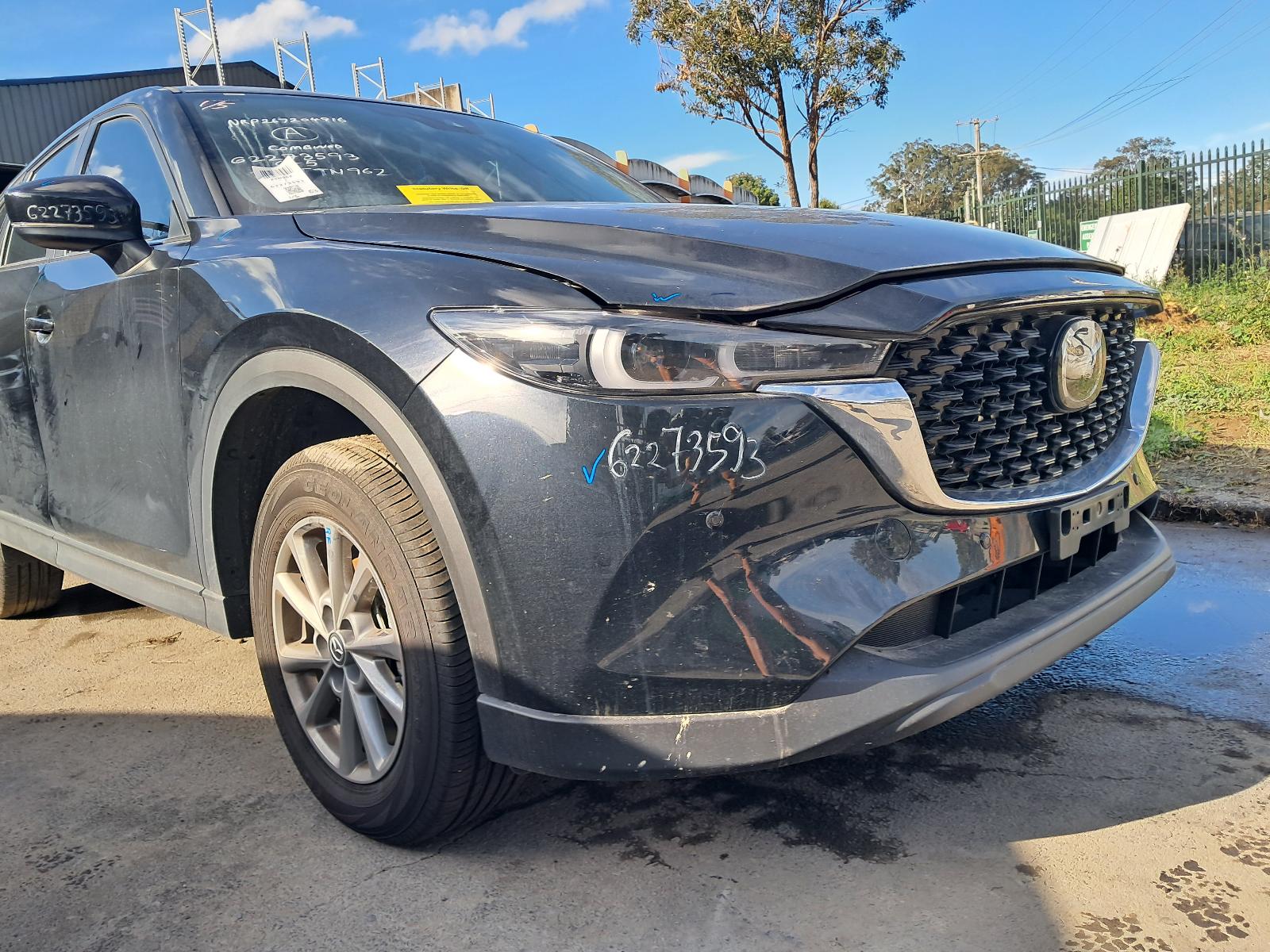 Gallery image 8
